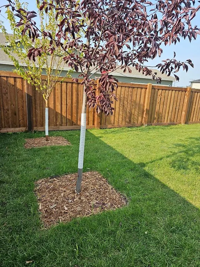 New Built House, Stay In Style Guest Suite, 2Bedroom, 2Bed, 2Bath Edmonton